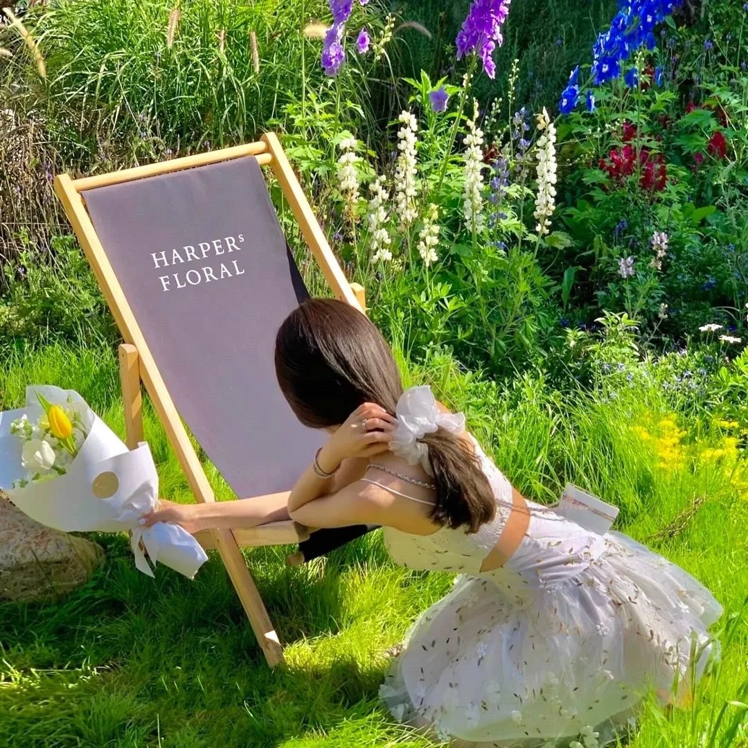 顾总，夫人她叒虐渣了